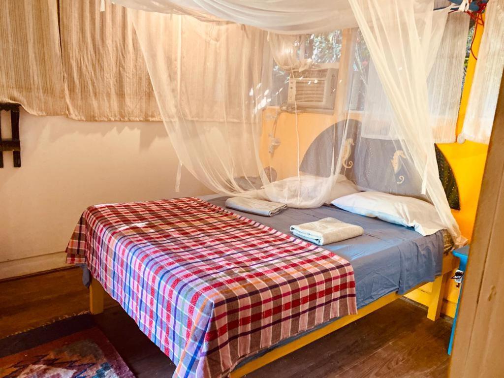 Hotel La Casa Rosada Livingston Ngoại thất bức ảnh